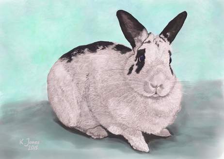 Bunny rabbit portrait. Digital painting by Kasia Jones  www.kasiajones.com