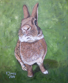 Bunny rabbit portrait. Oil painting by Kasia Jones  www.kasiajones.com